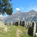 schöner Aufstieg zur Capanna Alpe di Prou
