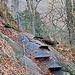Quelques passages équipés sur le sentier du Wormsawald .