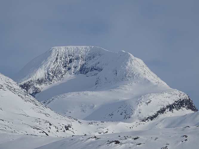 Tordsnose von der anderen Seite Fotos