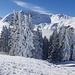 Sicht zum Wilerhorn und Hörnli