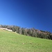 über die Wiese Schrofen