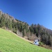 über die Wiese Schrofen