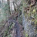 unterwegs am Fuchssteig