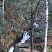 Les eaux tumultueuses de la cascade charlemagne .