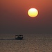 Tag 6 (2.3.): <br /><br />Bevor die Fähre wieder auf فيلكا (Faylakā) ablegte, konnte ich nochmals einen wunderschönen Sonnenuntergang bestaunnen. Die Insel war ein wunderschöner Abschluss meines leider etwas zu kurzen Urlaubs in Kuwait.