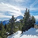 Ausblick zum Haldensteiner Calanda