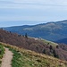 Tagweidle et Ferme du Kastelberg au loin .