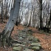 mit zunehmender Höhe und Sonneneinstrahlung beginnen die Steine leicht abzutrocknen - lauschige Aufstiegspassage ...