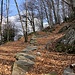 beschauliche - trockene - Rückwanderung