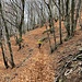 eine flachere Passage - voller Laub - leitet über ...