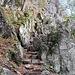 Sur le tronçon rocheux ,sous l'arête des Spitzkoepfe .