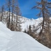 <b>Sulle tracce della volpe.<br />A partire dal bivio per l’Alpe Stabiello sono costretto a battere la traccia fino alla meta stabilita. </b><br />