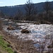 Biber`s Paradies