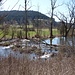 vorher an einem Seitenarm der jungen Donau....