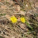farbenfroh in Richtung Frühling....