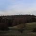 Erzgebirgslandschaft mit typischen Steinrücken auf dem Hügel