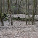 Stauteich der einstigen Lohmühle<br />Die Tallage unterhalb der Straße ist ein Schutzgebiet, weshalb ich diese Lokation auslasse.