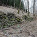 Paulhans, Hangterrassierung