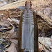 Regina, markante Flasche
