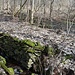 Pöllma, Bachmauer und Zaunsäulen