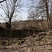 Pöllma, Schafstall