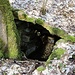 Pöllma, Quellfassung