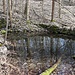 Pöllma, Teich