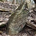 Neudörfl, ortstypische Zaunsäule