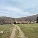 Brinzio