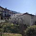 Rasa di Varese