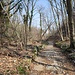 sentiero verso la Rocca di Orino