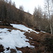 prima neve