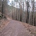 Vom Parkplatz ging ich auf diesem Forstweg um den Beissenberg herum zum Sattelpunkt mit der Schutzhütte.