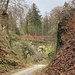 Ein Steinbruch als Biotop, westlich von Lütisbuech.<br /><br /><br />