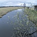 Bernauer Achen beim Chiemsee