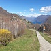 Treppe von Brè sopra Lugano bis hinauf auf den Monte Brè