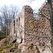 Ruines de l'Oedenbourg : l'ancêtre du Haut Koenigsbourg .Construit vers 1250 et en ruine depuis le 15ème siècle .