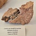 <b>Cavità con cristalli di mesitina (dolomite ferrifera), quarzo e ortoclasi.<br />Cuasso al Monte.</b>