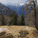 Alter Baum, neues Jahr: <br /><br />Blick ins Valle Vezasca wenig unterhalb vom Rifugio Alpe Costa.