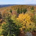 Aussicht vom Turm auf dem Mt. Olga 