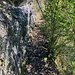 zur nächsten Felswand