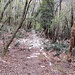 La scala di ronda