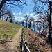 Ecco la chiesetta, in un punto SUPER panoramico