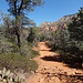 Brin's Mesa Trail