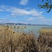 Blick vom Ufer des Balaton bei Gödrös hinüber nach Balatonfüred