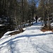 La prima parte nel bosco....