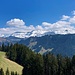 auch "unten durch" ergibt sich ein gefälliger Schratteblick