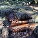 Erosion durch Quelle am Talhang