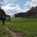 Schöner Trail am Waldrand