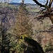 Ausblick